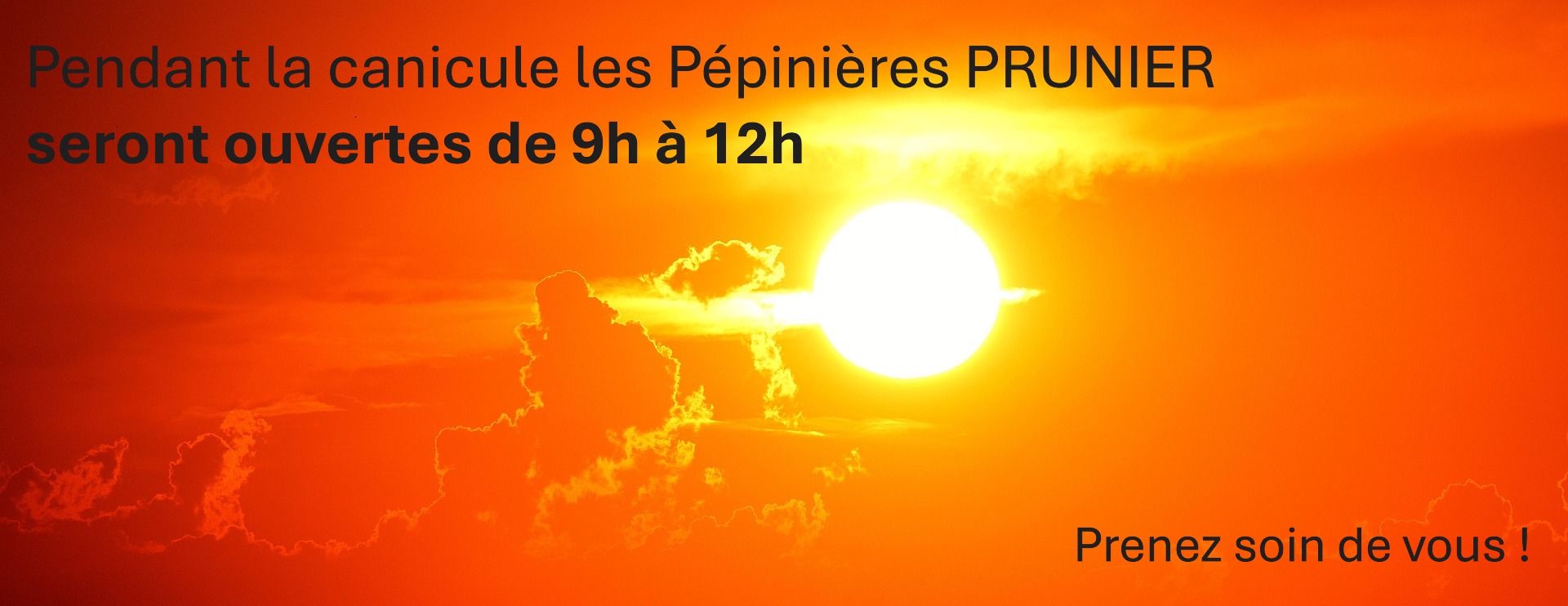 PEPINIERES PRUNIER ouvertes de 9h &agrave; 12h pendant la canicule